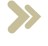 Website for Design Forward Creative – A Brand Design Studio